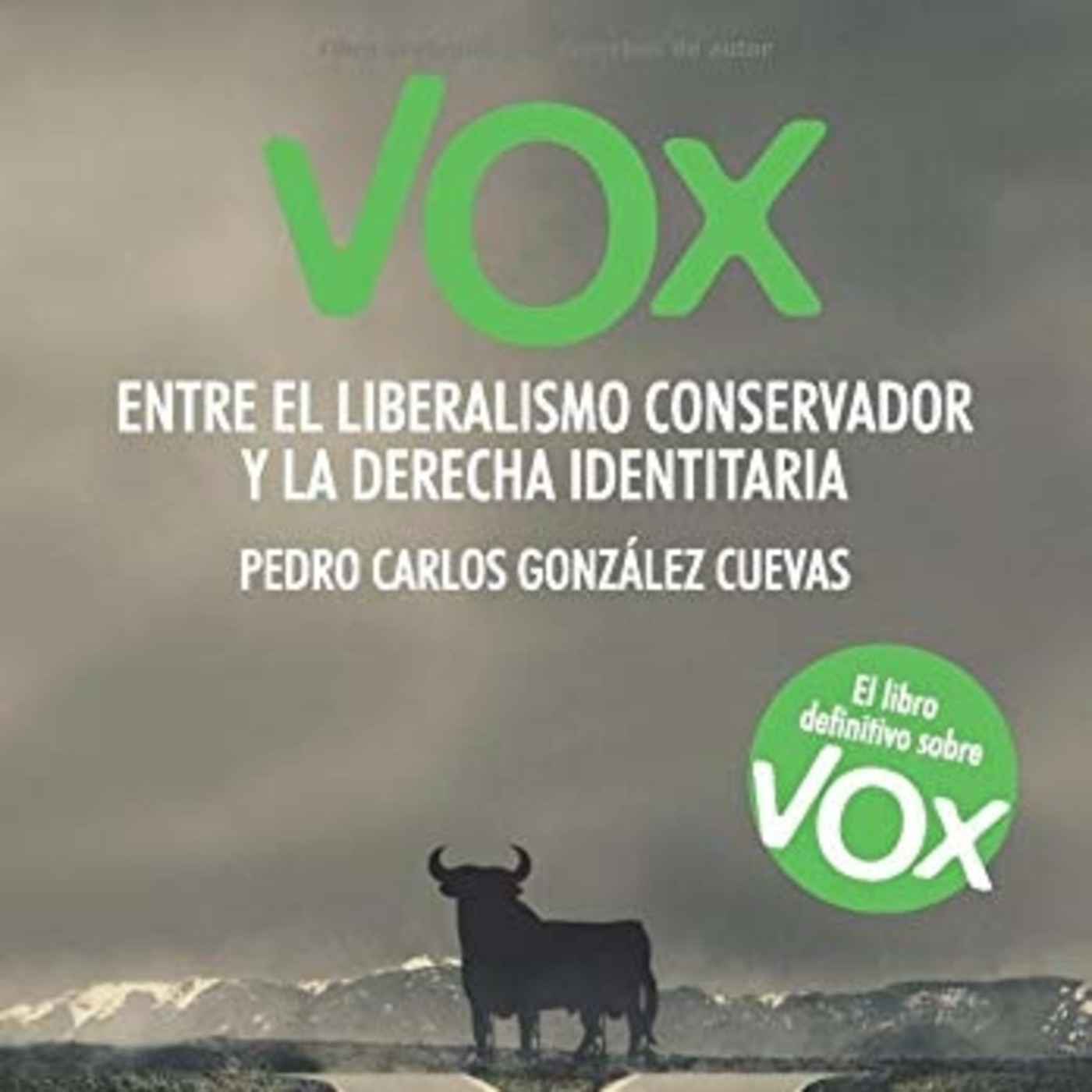 Vox: Entre el liberalismo conservador y la derecha identitaria