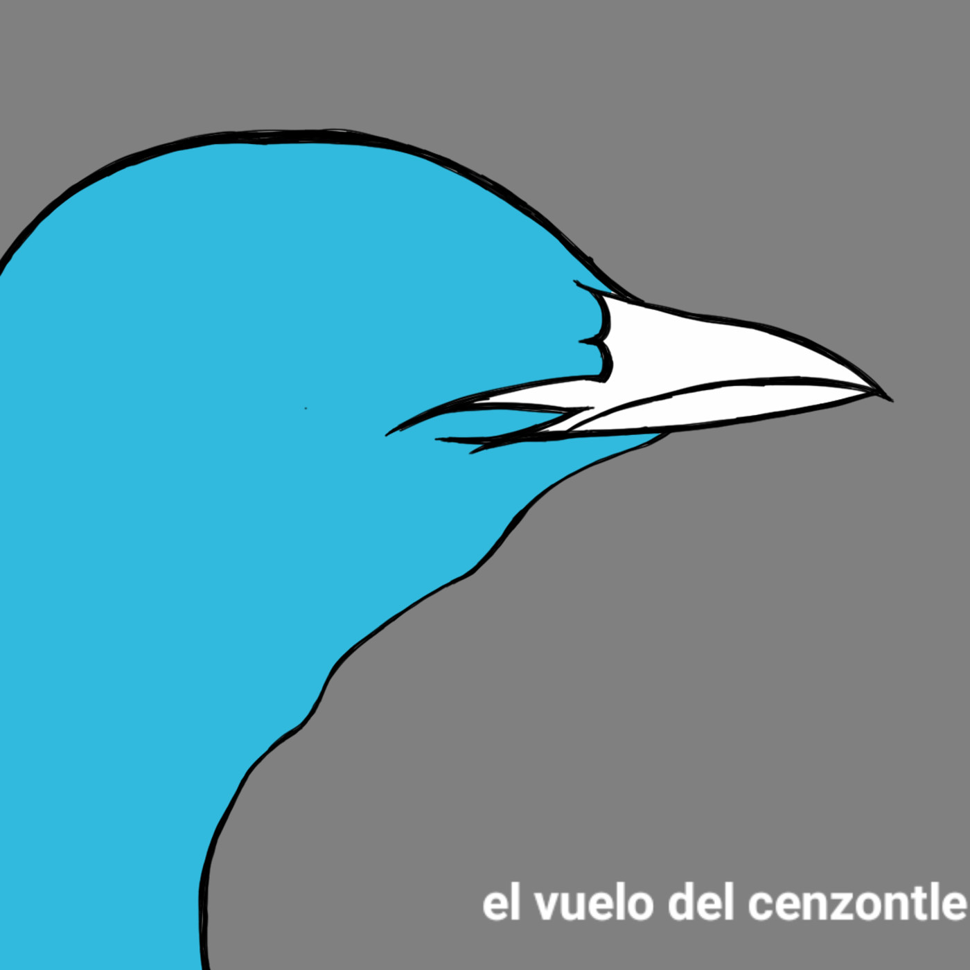 El Vuelo del Cenzontle
