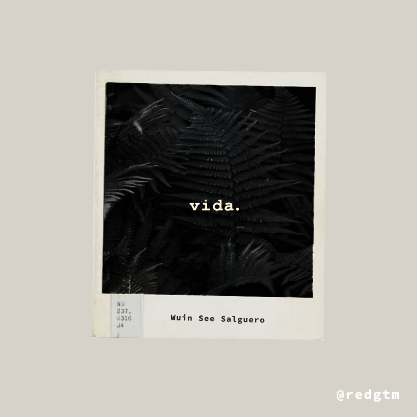 Vida - TP 1
