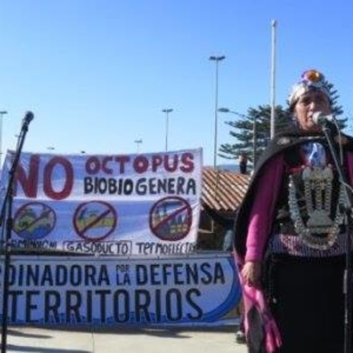 Vitrina Dystópica