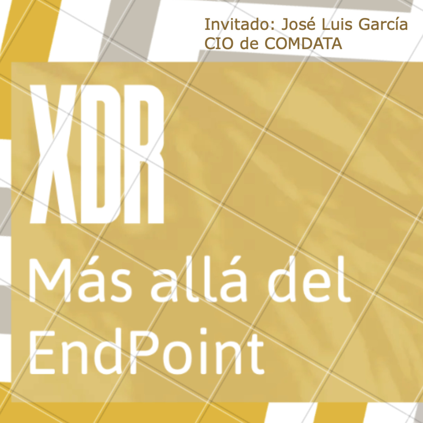 T6X016 XDR: Más allá del EndPoint episode artwork