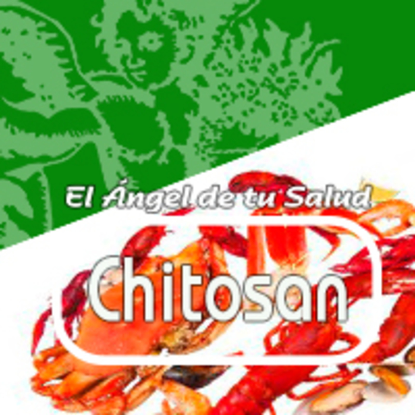 El Angel de tu Salud - CHITOSAN** episode artwork