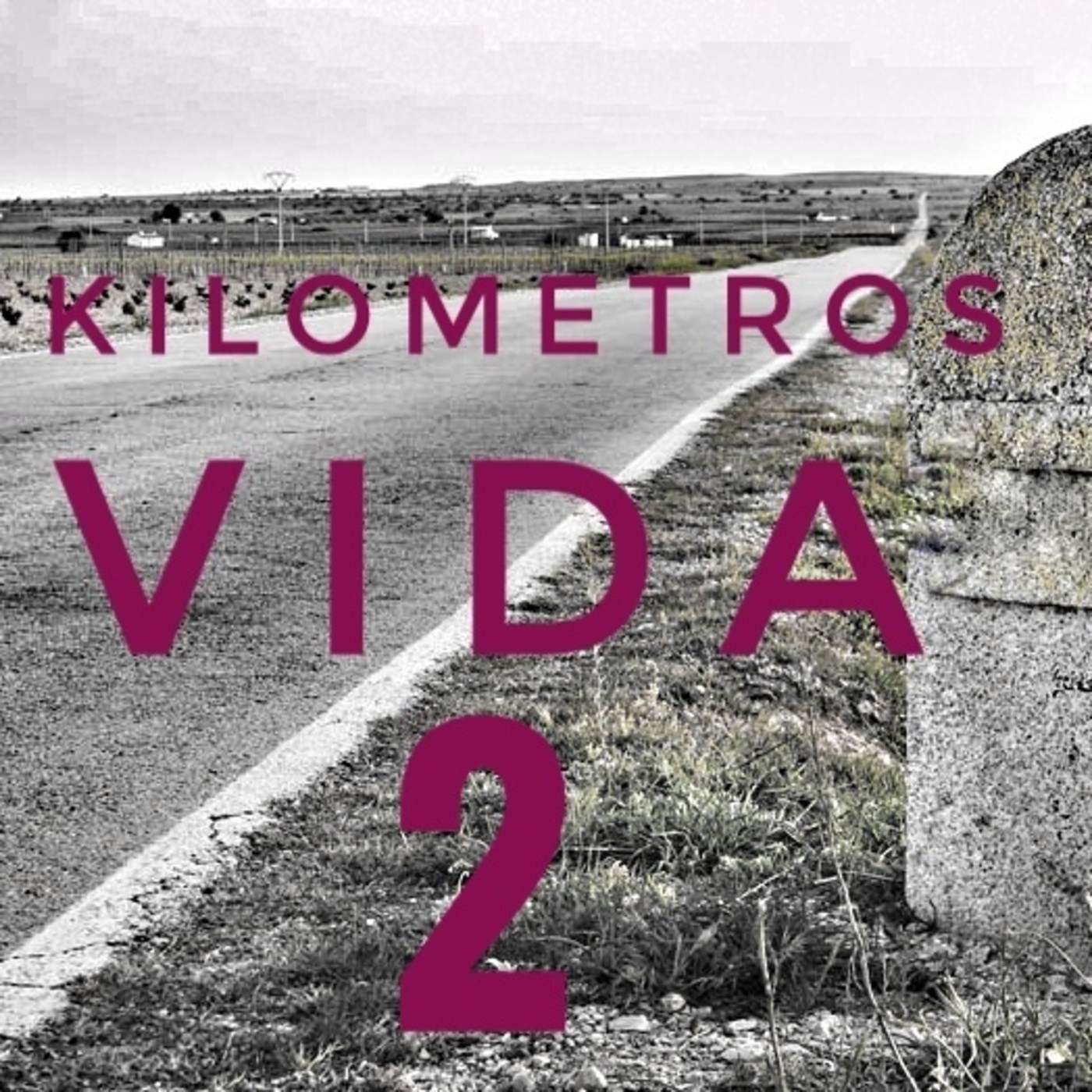 Kilómetros de Vida