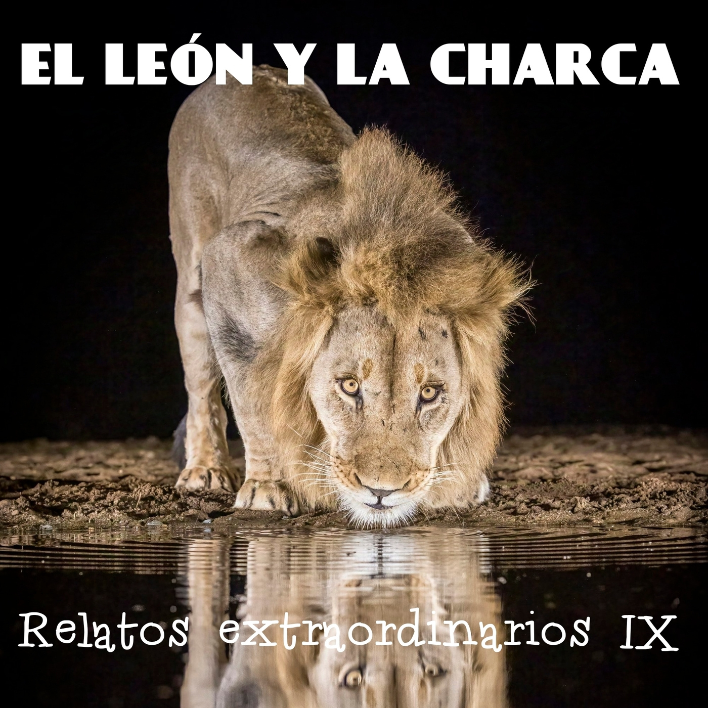 Relatos extraordinarios IX - El león y la charca episode artwork