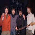 Elefantes, 1996