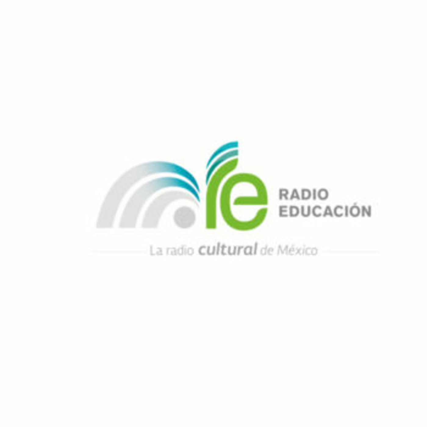 Noticiarios Pulso