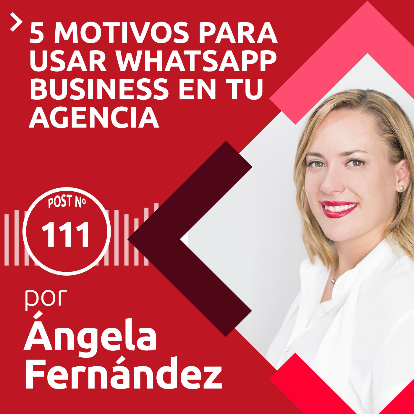 111: 5 Motivos para usar Whatsapp Business | Para agencias de viajes episode artwork