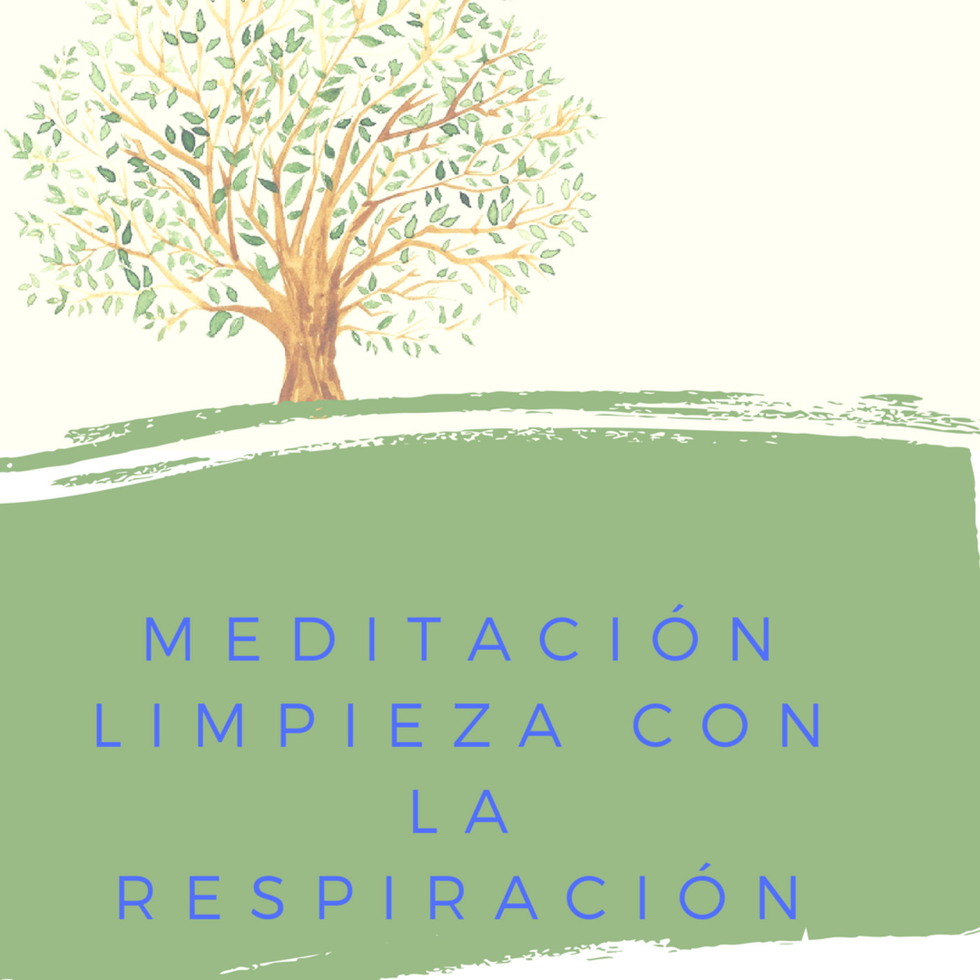 Asociación Buscadores de Plenitud