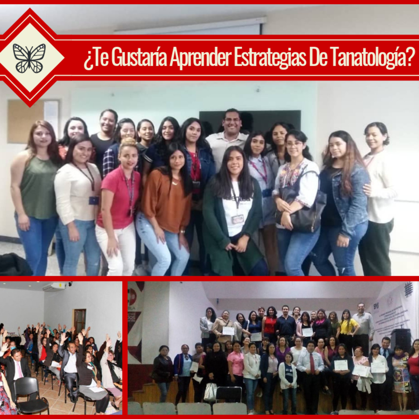 Cursos, Conferencias y Entrenamientos