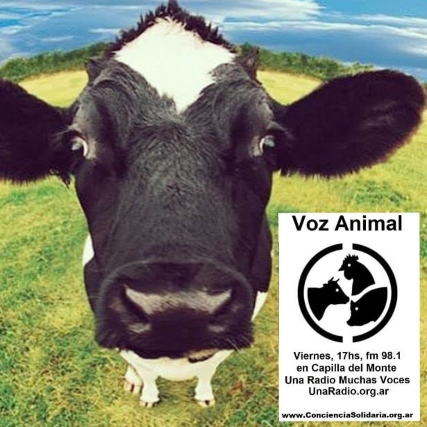 #VozAnimal 29.3.2019 #ConcienciaSolidaria #Córdoba episode artwork