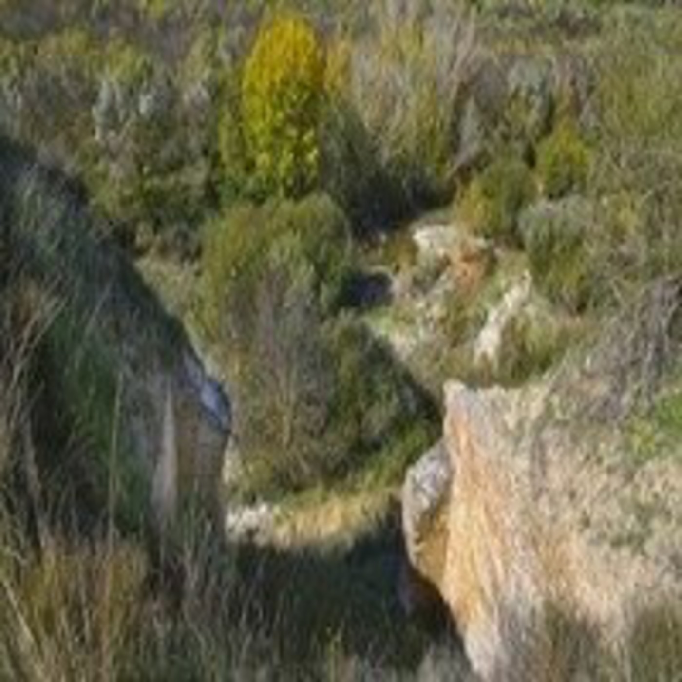 Las Arenas de Cronos (Madrid, España) - Historia