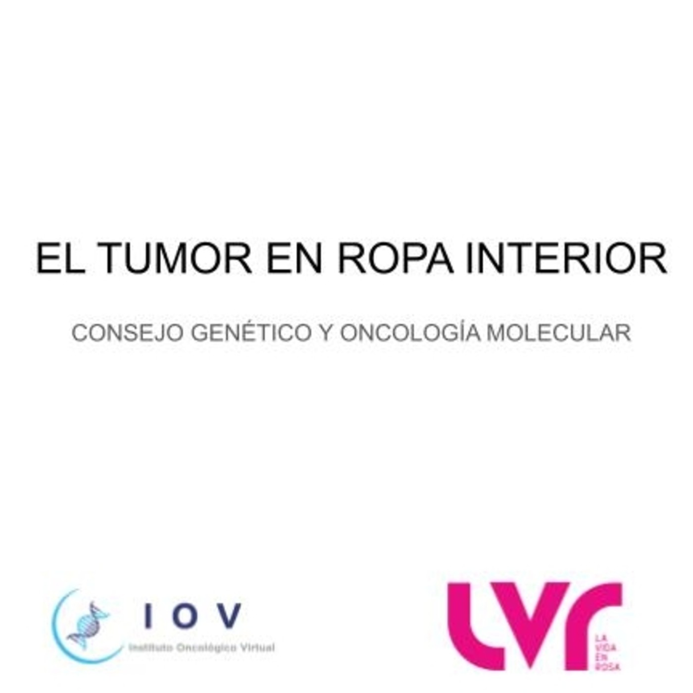 Revista La Vida en Rosa: ENTREVISTAS