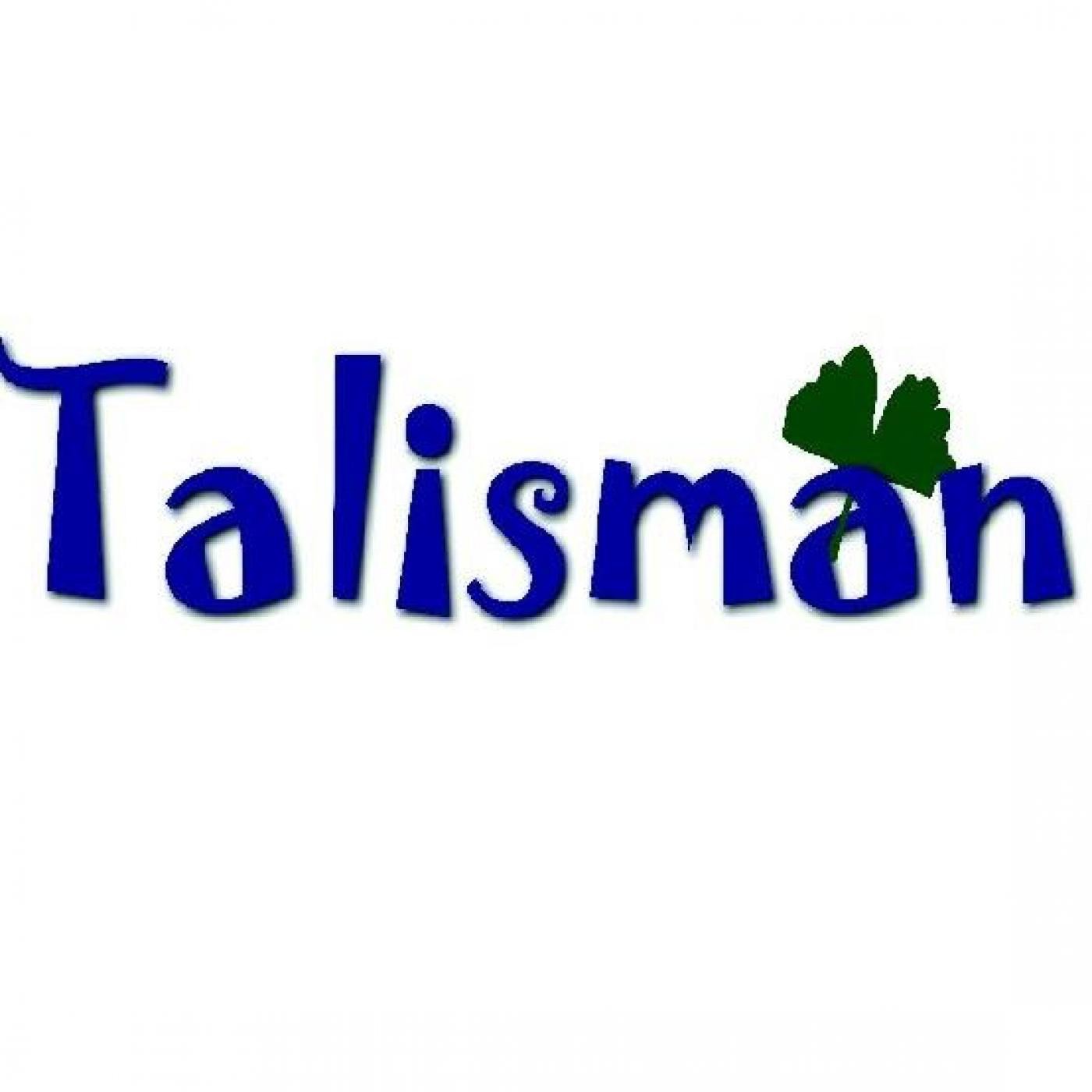 Resumen encuentro de Talisman y Mapfre 18 de enero