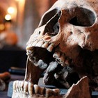 El regreso de la Peste Negra