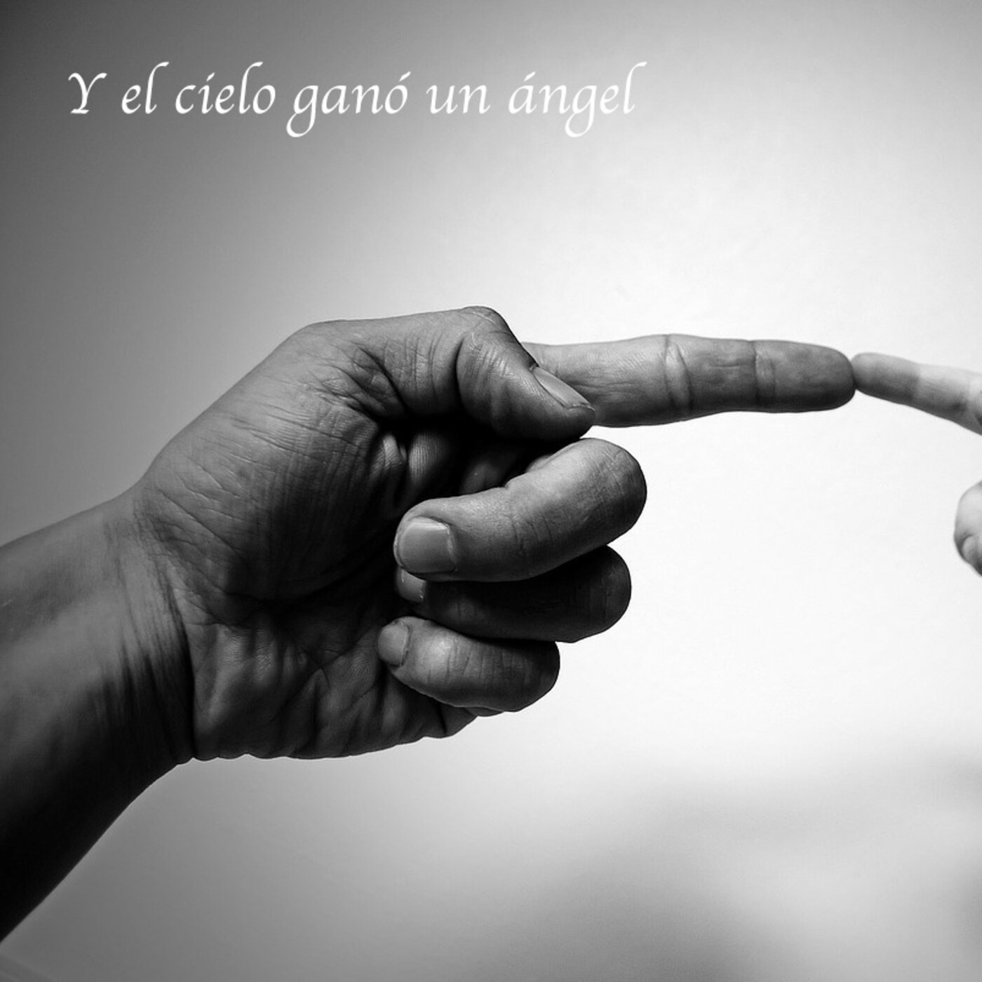 Anotaciones de un reflexivo