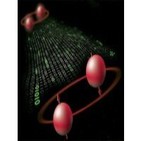 140324 Ciencia para todos - El principio de incertidumbre, el resultado de las probabilidades