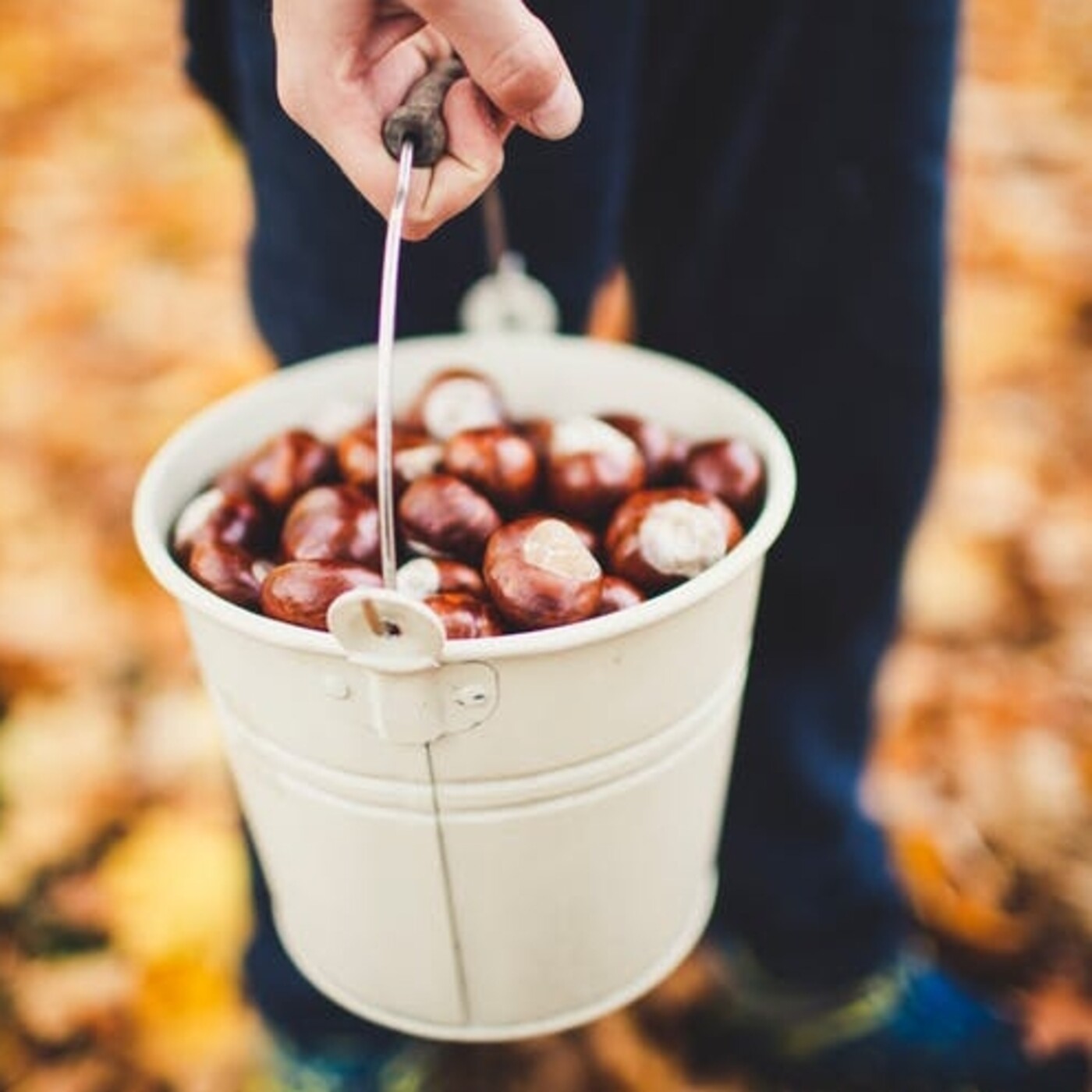 Alimentación saludable