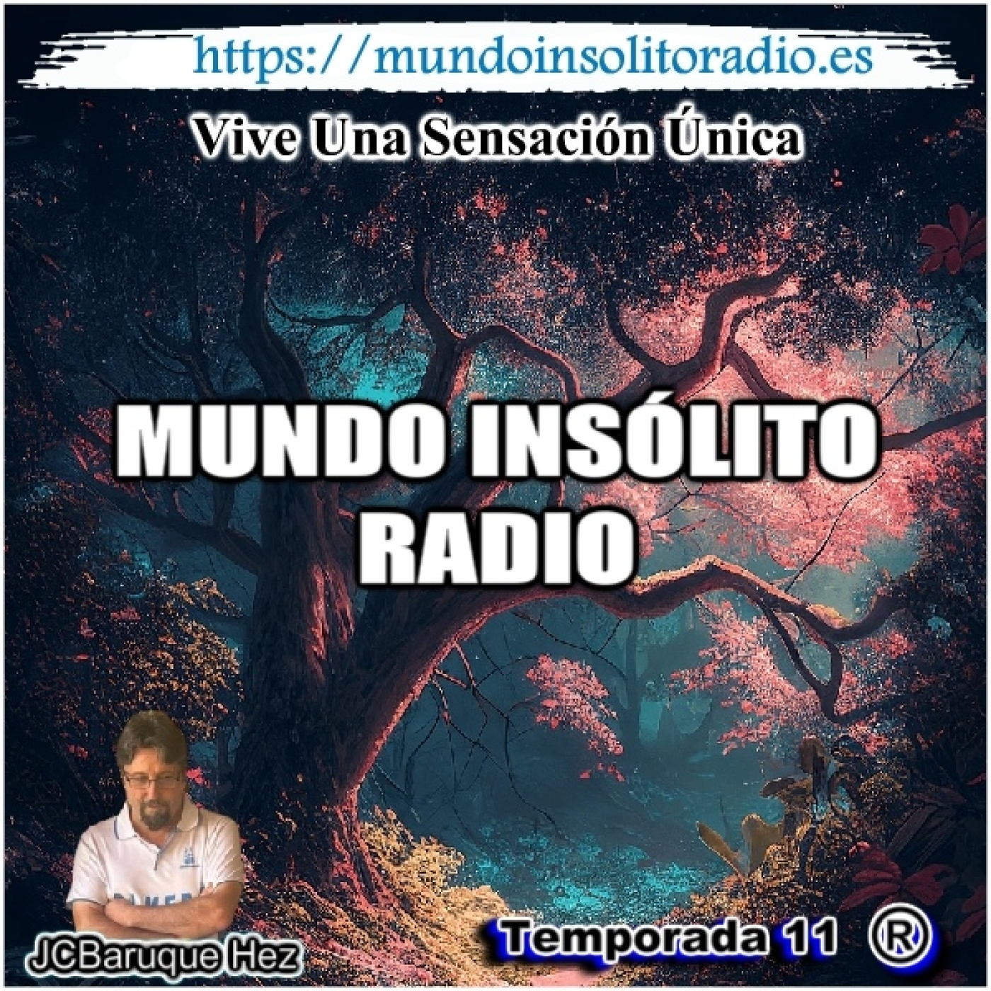 808/11. ONIROMANCIA: Adivinación a través de los sueños.