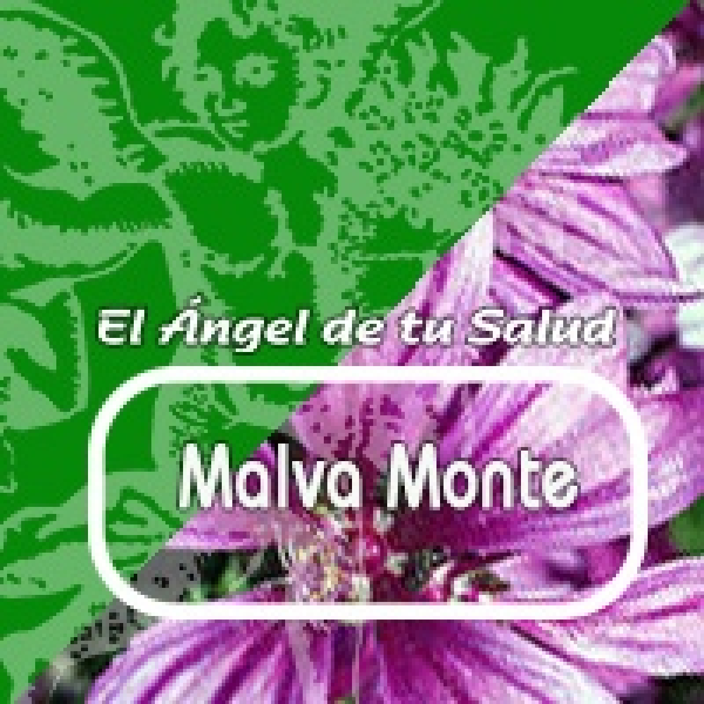 El Ángel de tu Salud -MALVA MONTE episode artwork