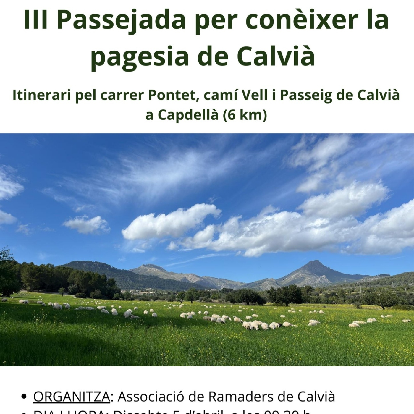 Programas Radio Calvià