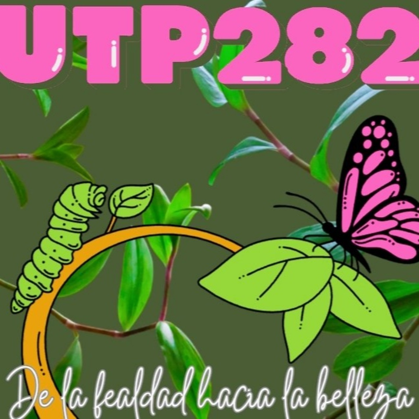 Buscadores de la verdad