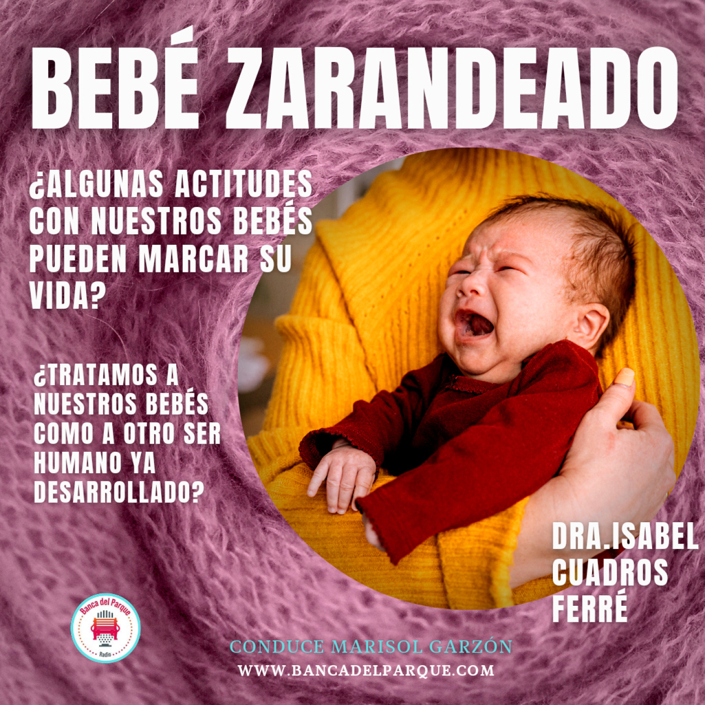 16.06.2022 - La Banca del Parque - Dra Isabel Cuadros Ferré - PREVENCIÓN DEL BEBÉ ZARANDEADO episode artwork