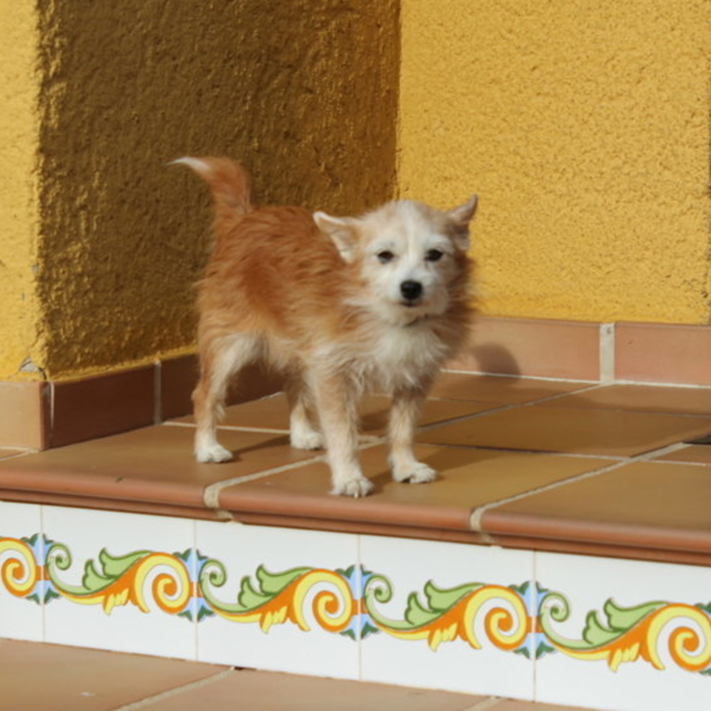 Piloto: Informativo Medio Ambiental de Castilla-La