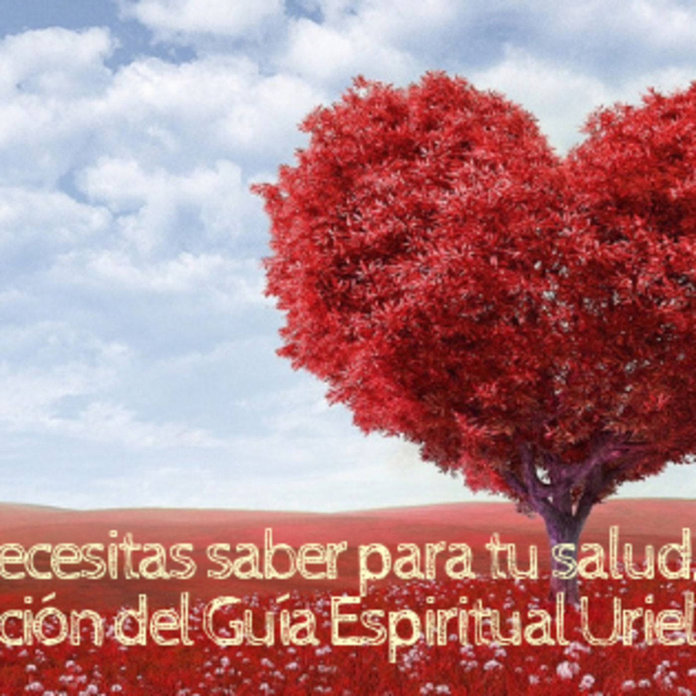 Canalizaciones y mensajes espirituales en vivo.