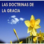 DOCTRINAS DE LA GRACIA (I): La Depravación Total (Corrupción Radical del Hombre)