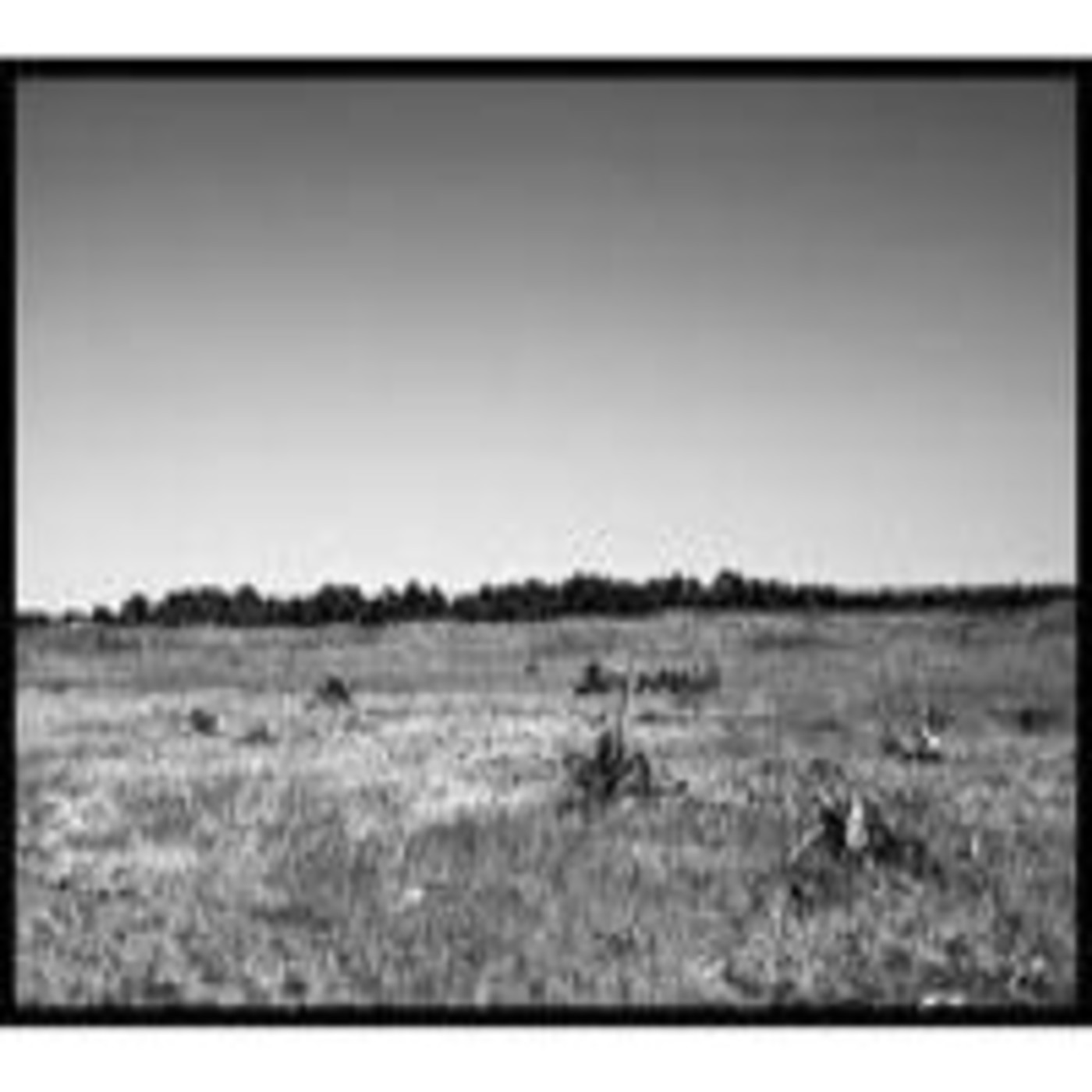 Monográficos Zona Cero, Campos de batalla, misterios episode artwork