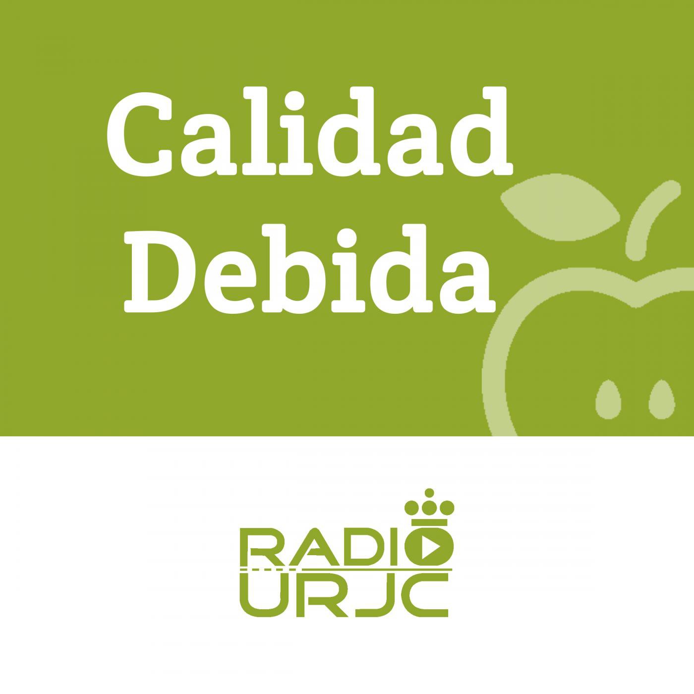 Calidad Debida PGM 4 (19.11.2015) episode artwork