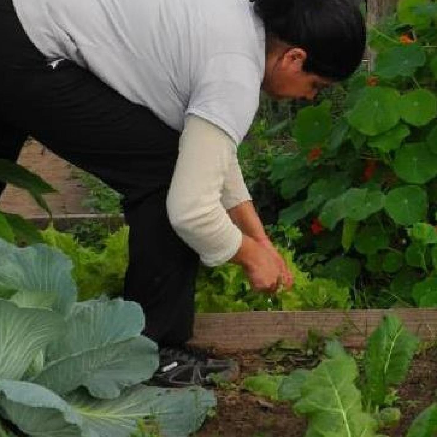 Podcast de Soberanía alimentaria y comuni