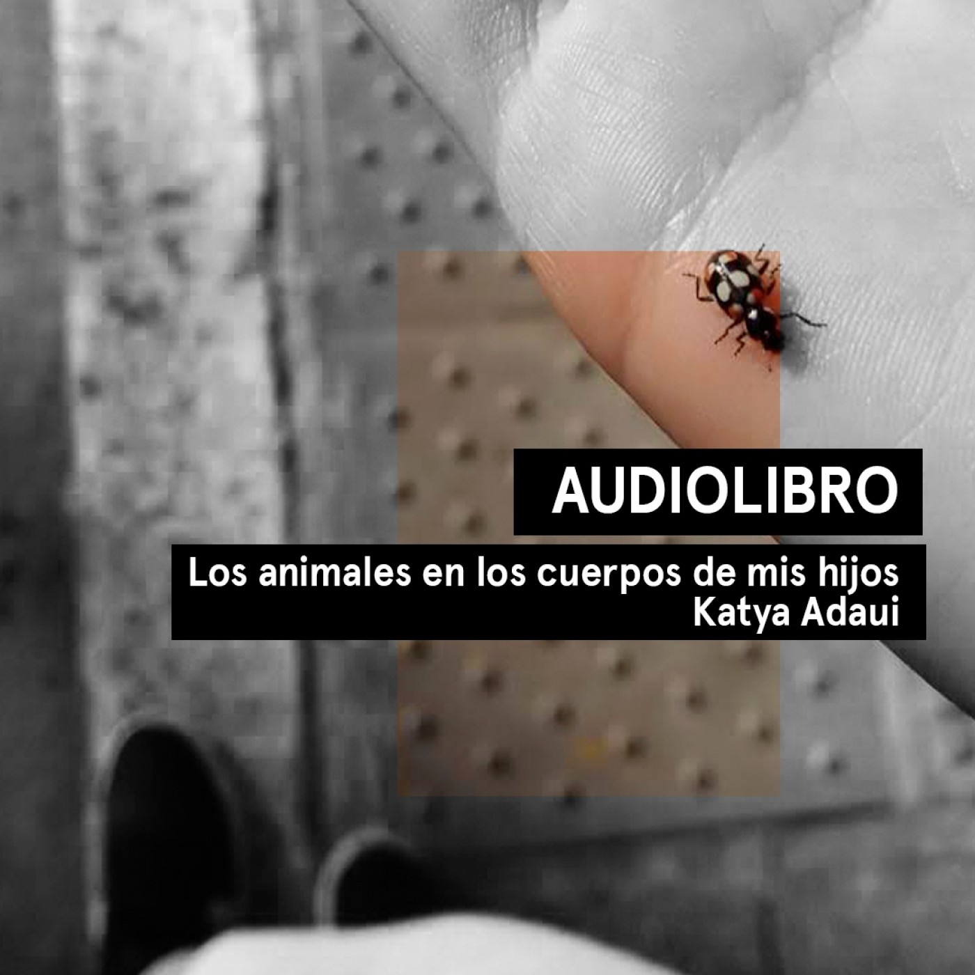 Audiolibros Por qué leer