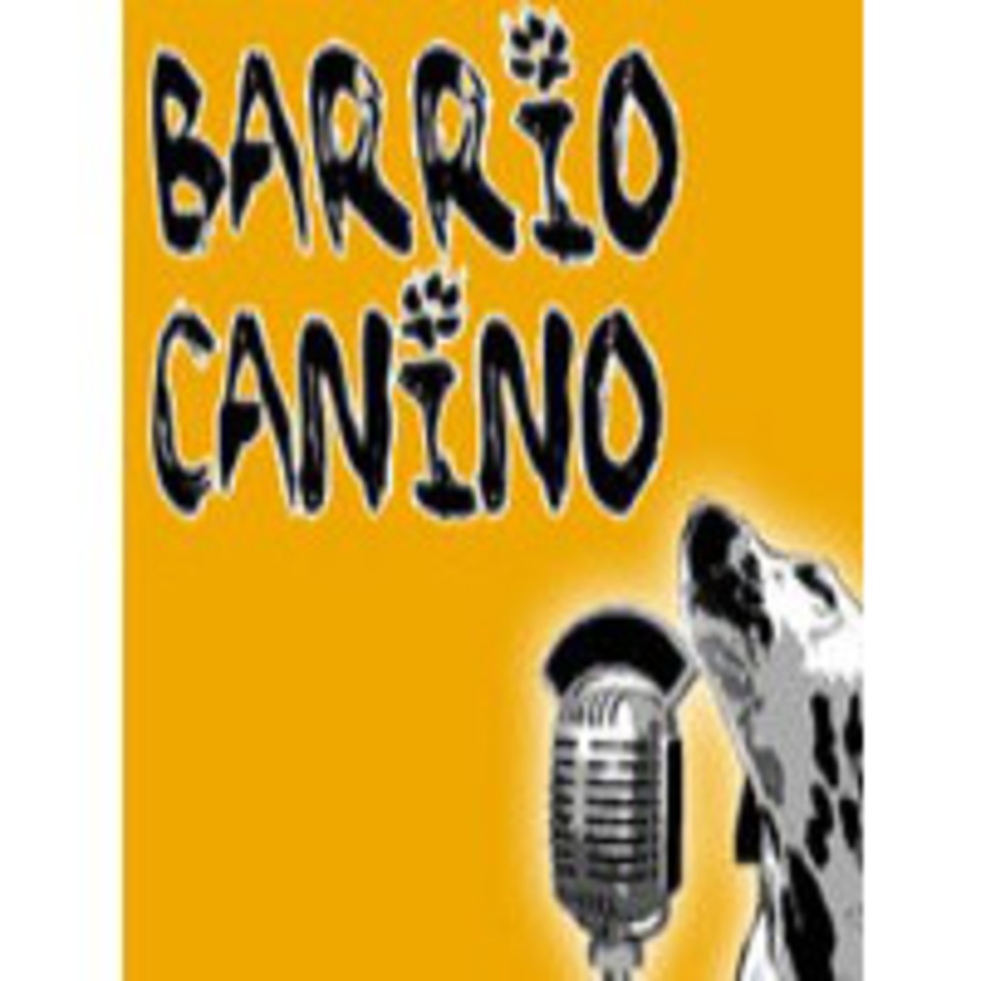 Barrio Canino vol.18 - 20111125 - Democracia 4.0 - Entrevista a José Gómez (Democracia Real Ya, Madrid) episode artwork