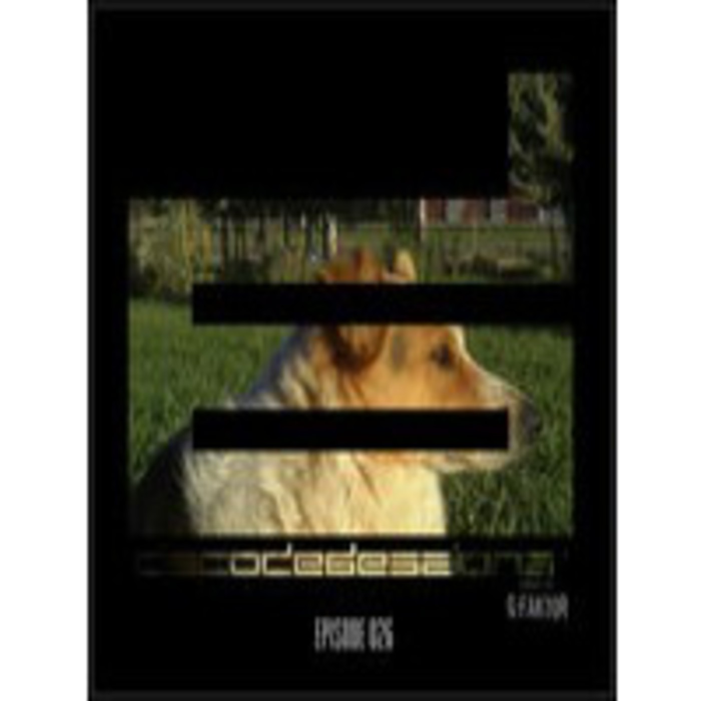 Decoded Sessions 026 episode artwork