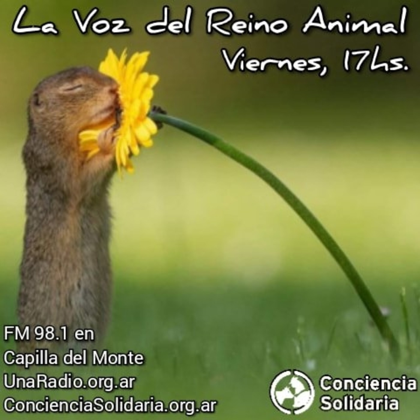 ¡#LaVozDelReinoAnimal! 18.10.19 episode artwork
