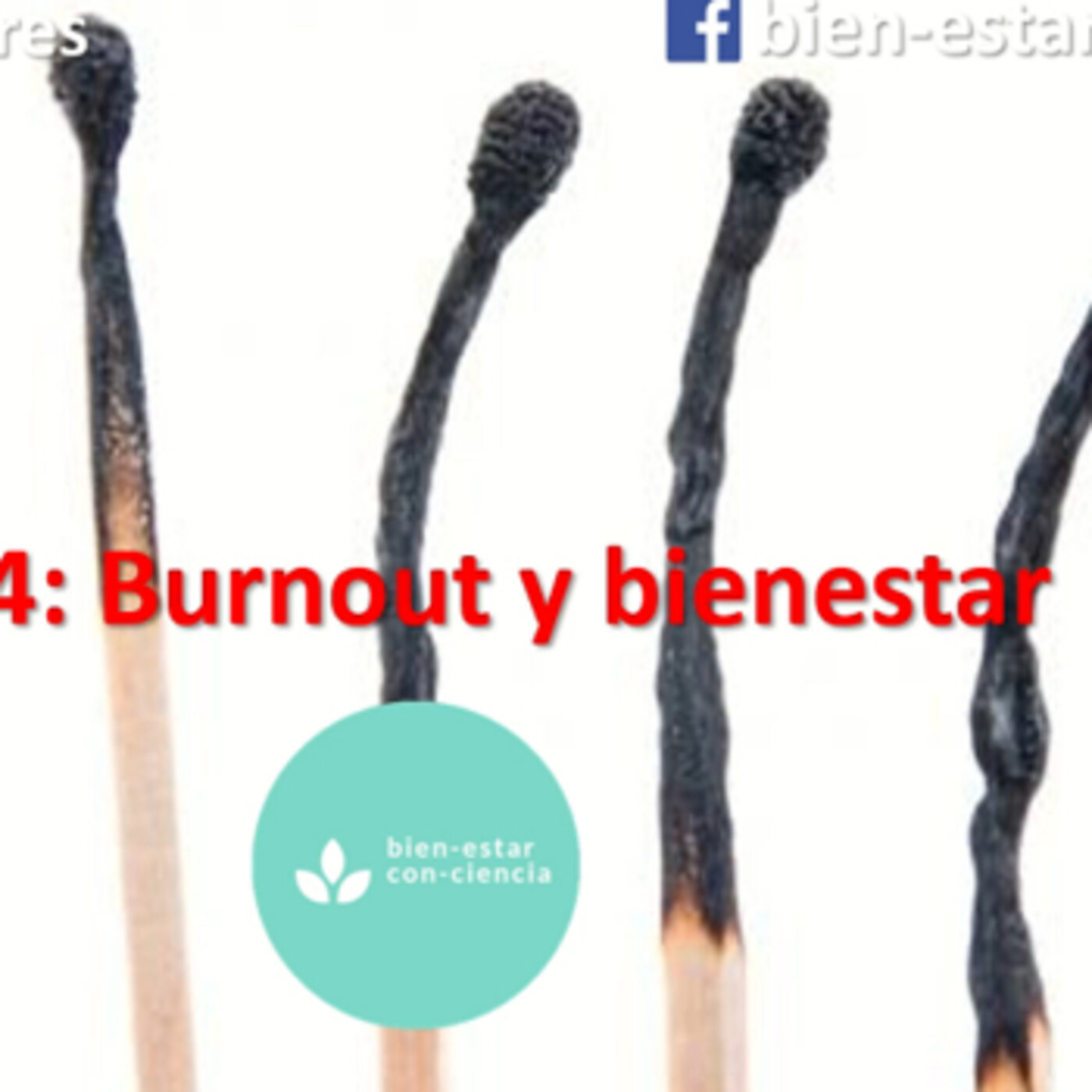 Bien-estar con-ciencia