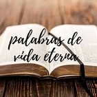 Palabras de Vida Eterna Viernes 29 de mayo de 2020