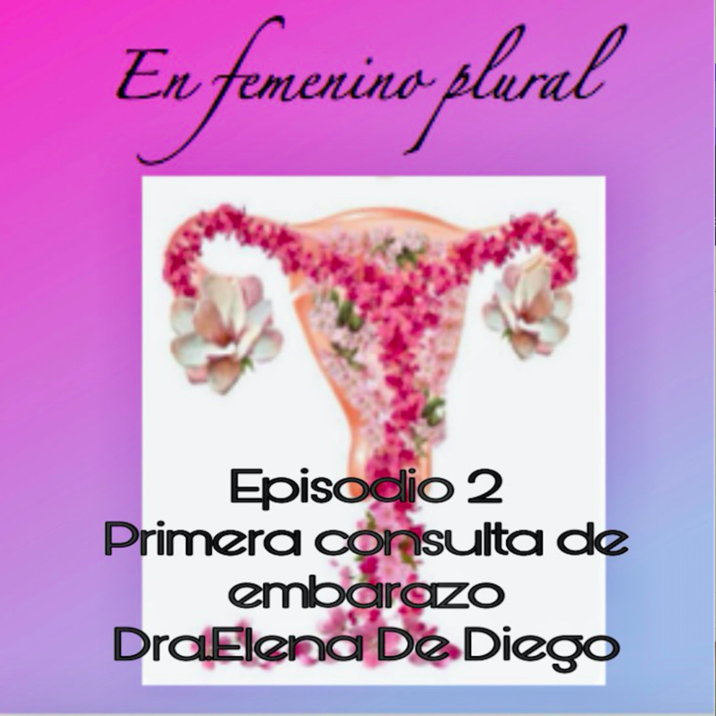 EN FEMENINO PLURAL