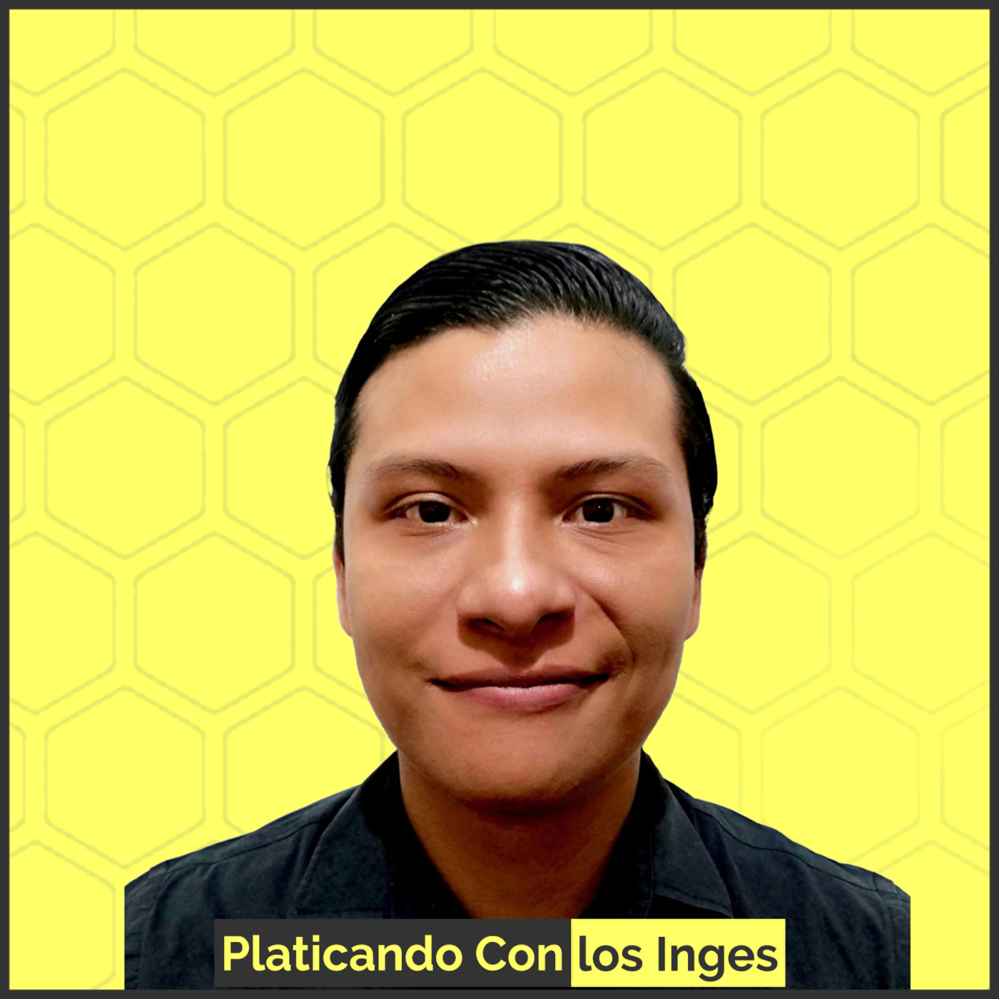 Platicando Con los Inges