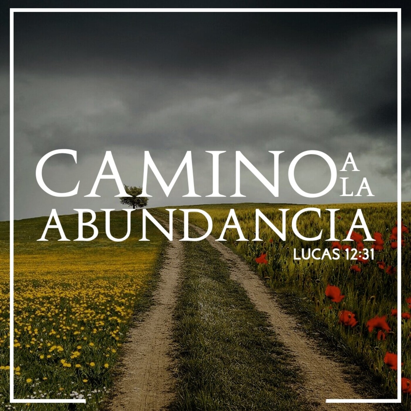 Camino a la abundancia episode artwork