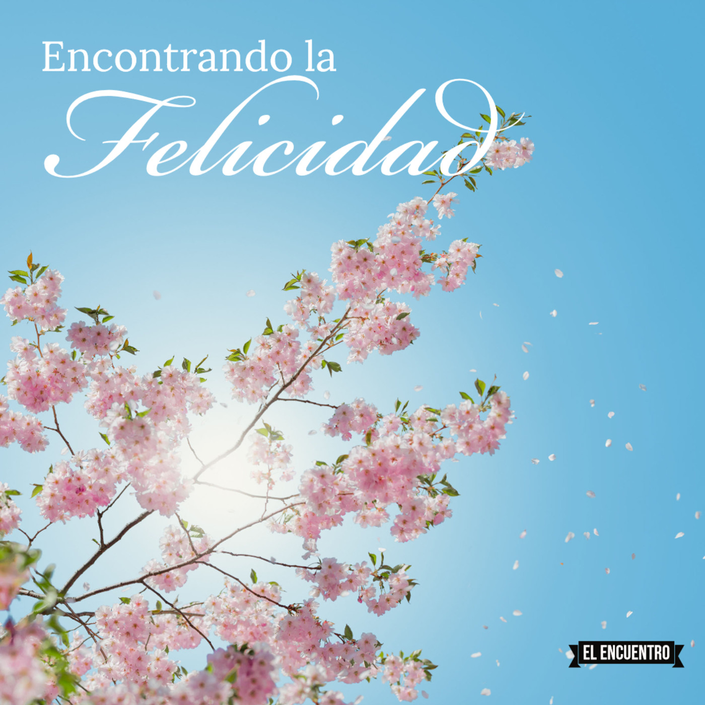 Encontrando la felicidad episode artwork