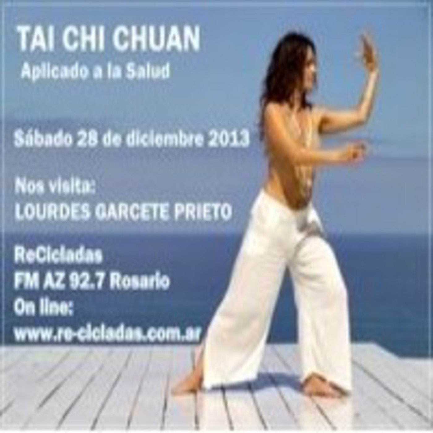 ReCicladas 28-12-2013 episode artwork