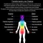 Hablemos a solas - Las emociones