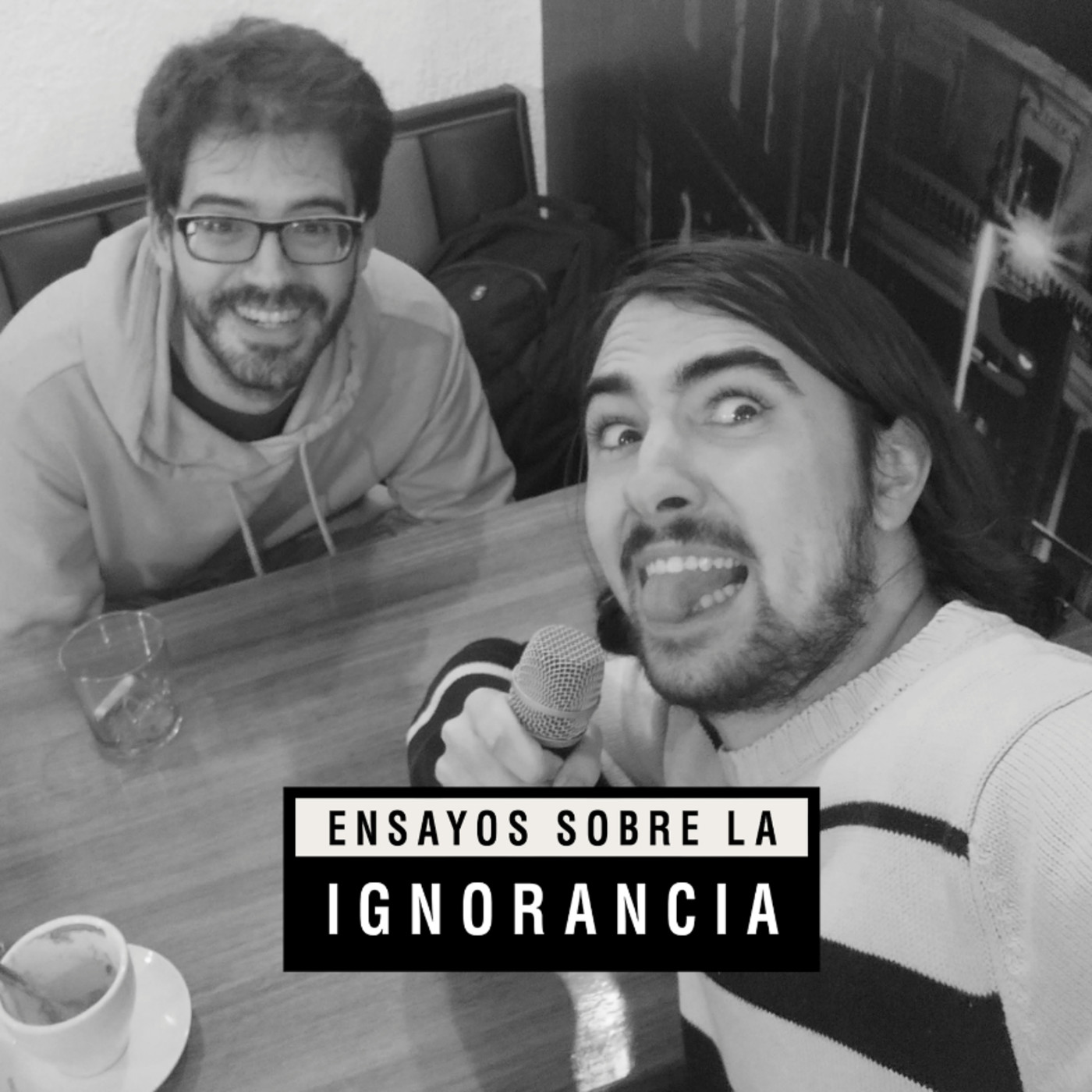 Ensayos sobre la ignorancia