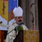embed image