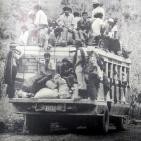 embed image