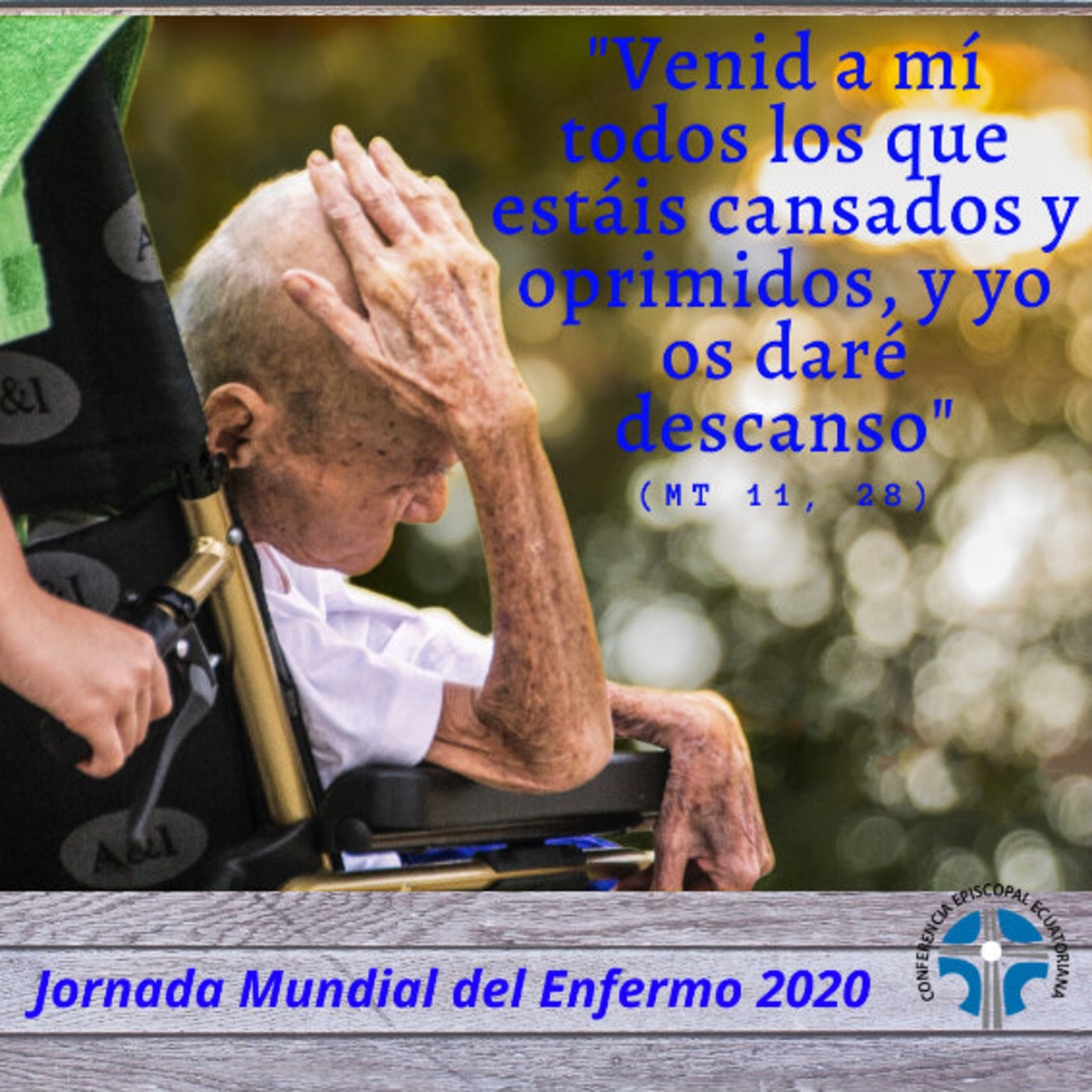 Noticias Eclesiales - Iglesia Católica