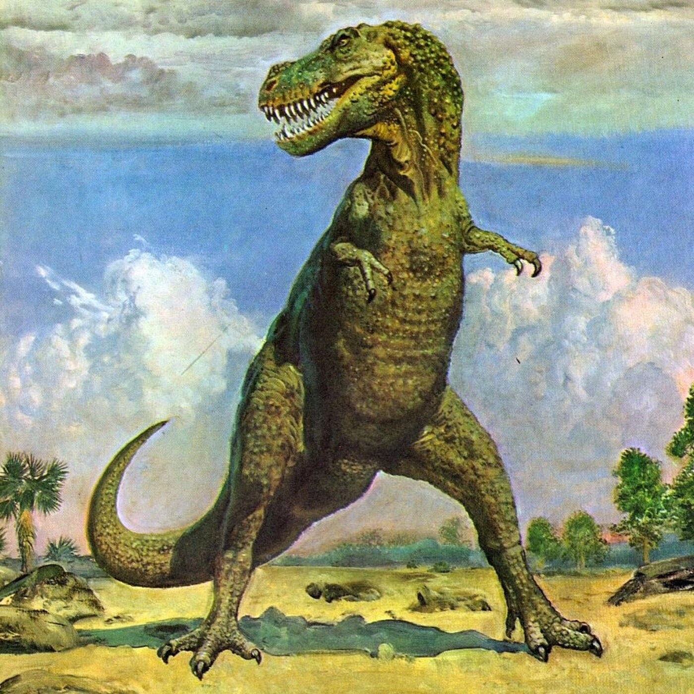 caldo de visceras