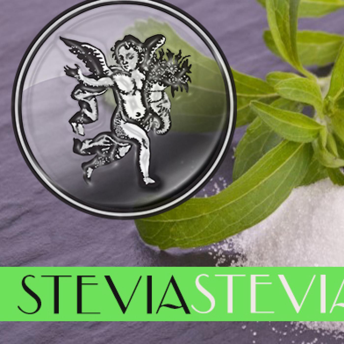 EL ÁNGEL DE TU SALUD- Rodrigo Mondragón -STEVIA episode artwork